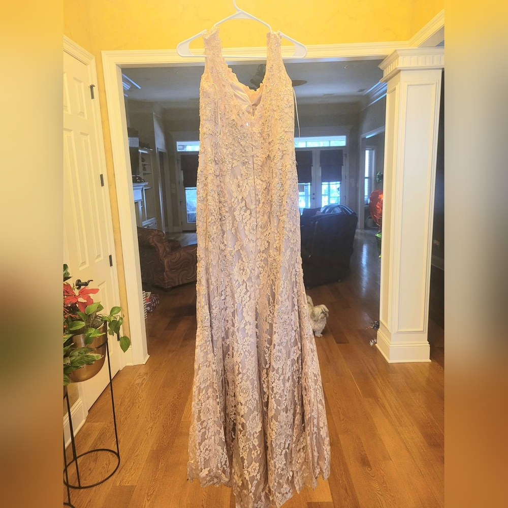 Mother of the Bride Dress Champaign Color Sz 8 VM Collection Nude - Picture 11 of 11